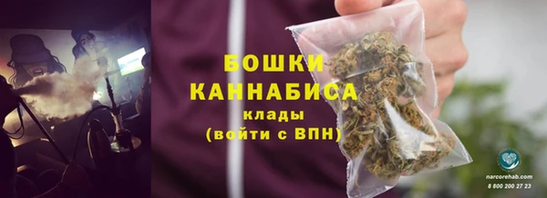 прущий лед Новозыбков