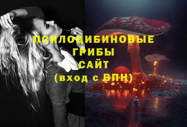 прущий лед Новозыбков