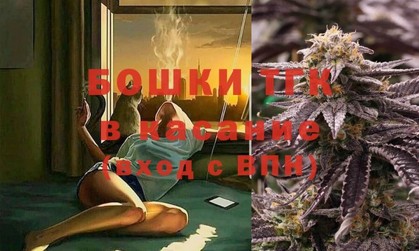 прущий лед Новозыбков