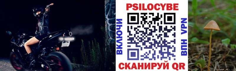 Псилоцибиновые грибы прущие грибы  сайты даркнета как зайти  Камбарка 